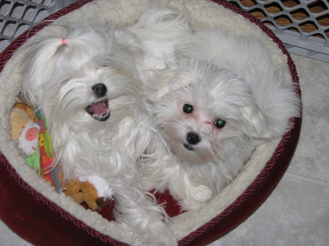sister snuggle